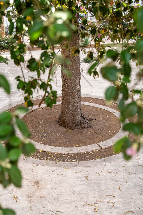 Un patio di marmo con un grande albero al centro.